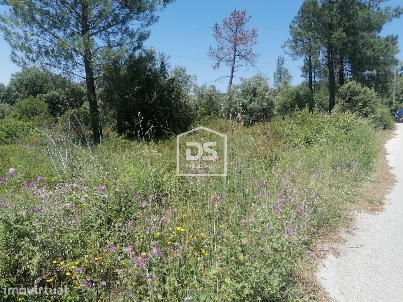Terreno Para Construção  Venda em Minde,Alcanena - Grande imagem: 2/17
