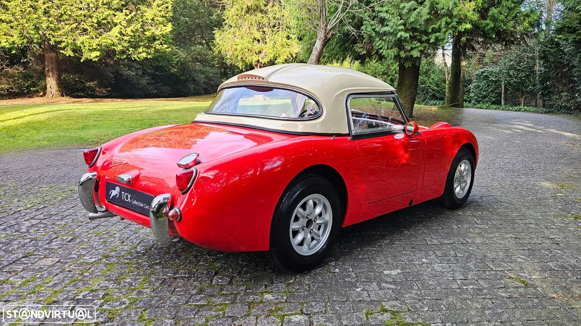Austin Healey Sprite Mk I - 3