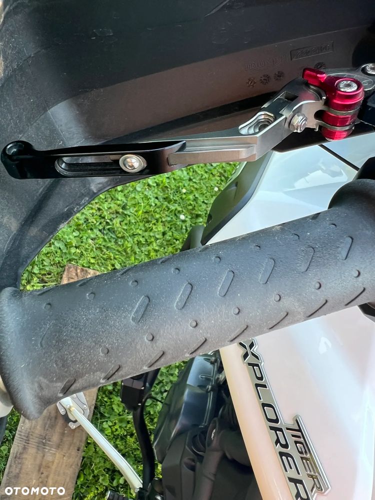 Triumph Tiger - 27
