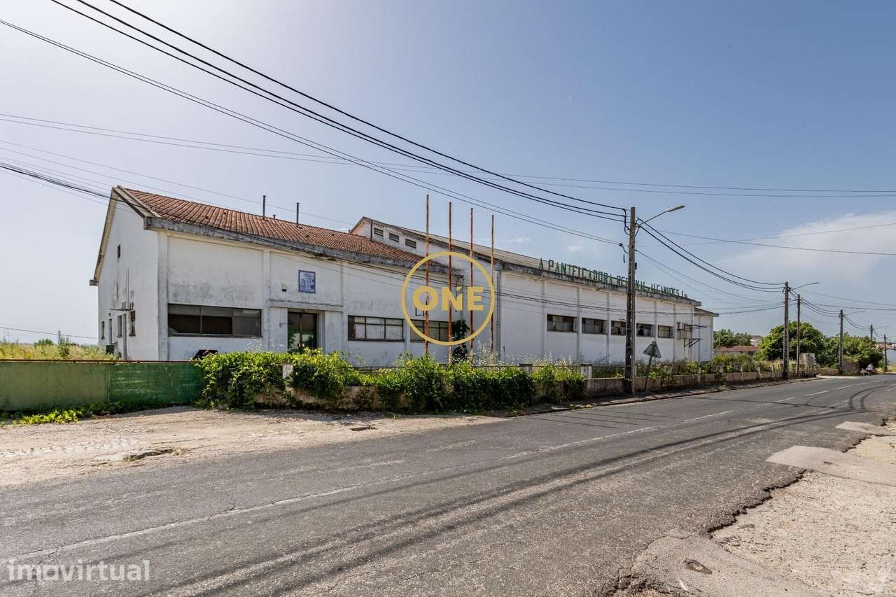 Armazém com terreno de mais de 7.000 m2 em Alcanhões, Santarém - Grande imagem: 5/35