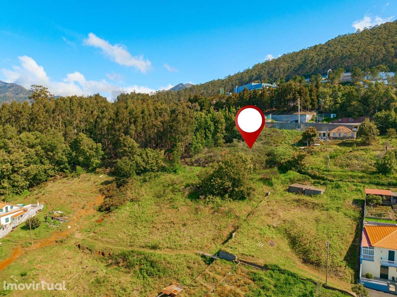 Terreno com 5.604 m2 na Ribeira Brava – tranquilidade, natureza e vist - Grande imagem: 3/14