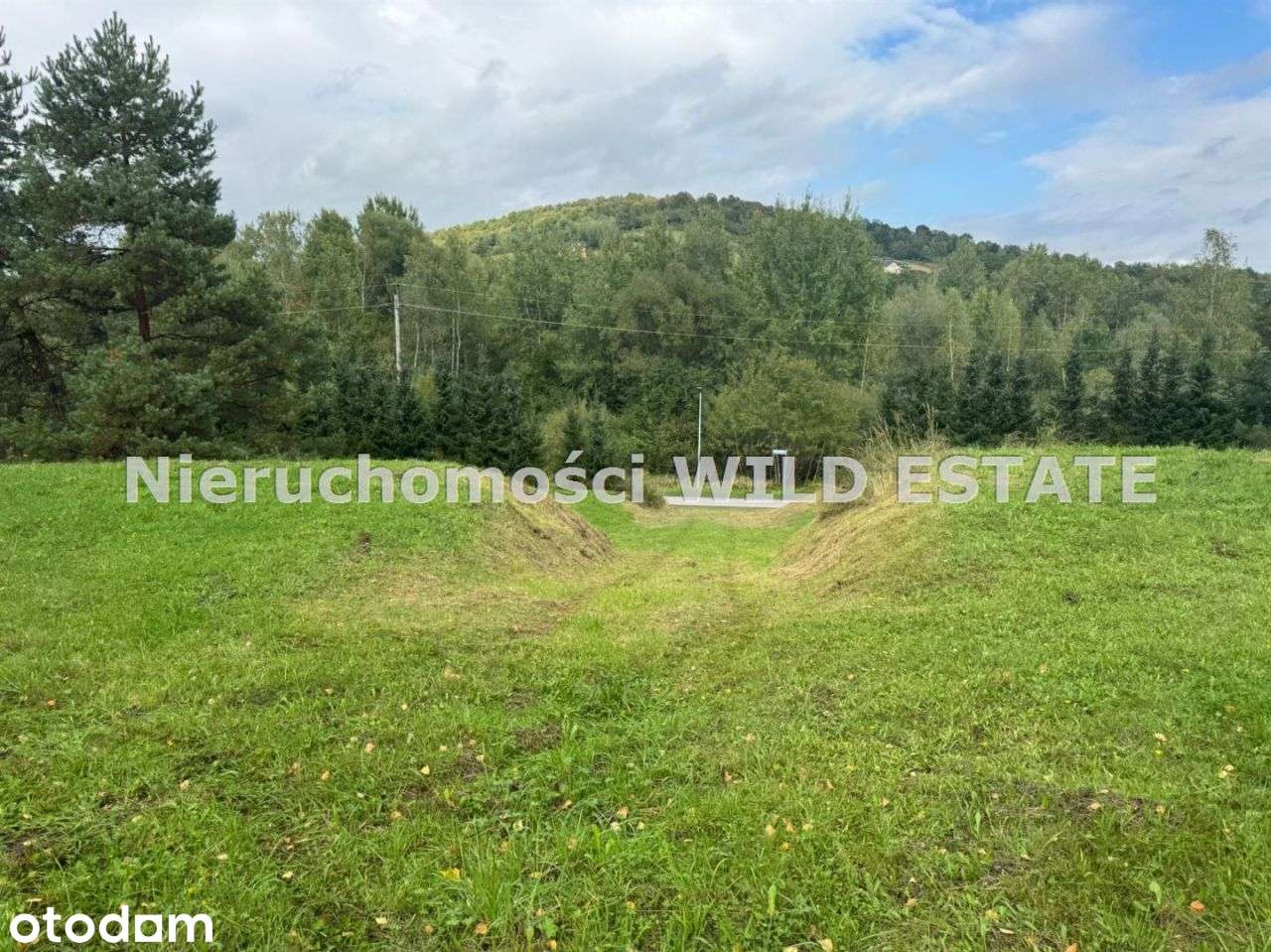 Działka, 4 728 m², Solina - Pełny obrazek: 4/10