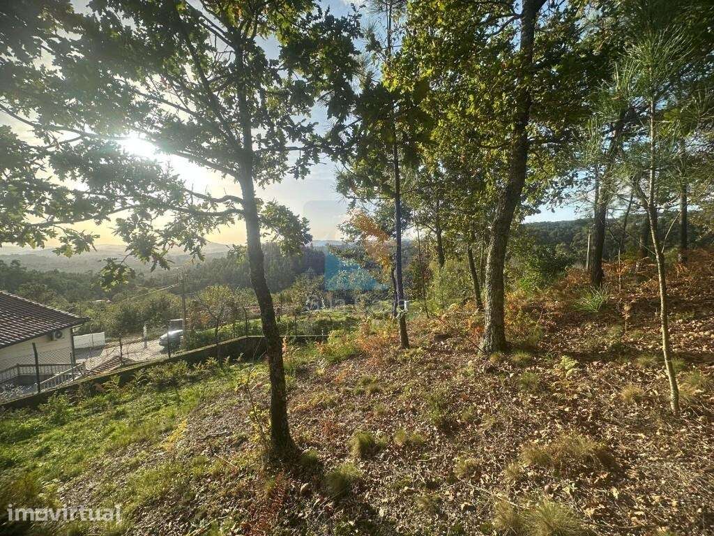 Terreno com viabilidade de construção - Grande imagem: 4/12