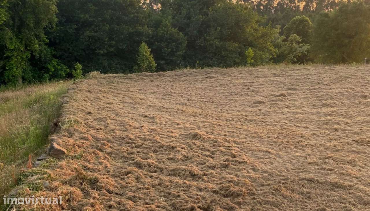 Venda de Terreno, Montaria, Viana do Castelo - Grande imagem: 5/21