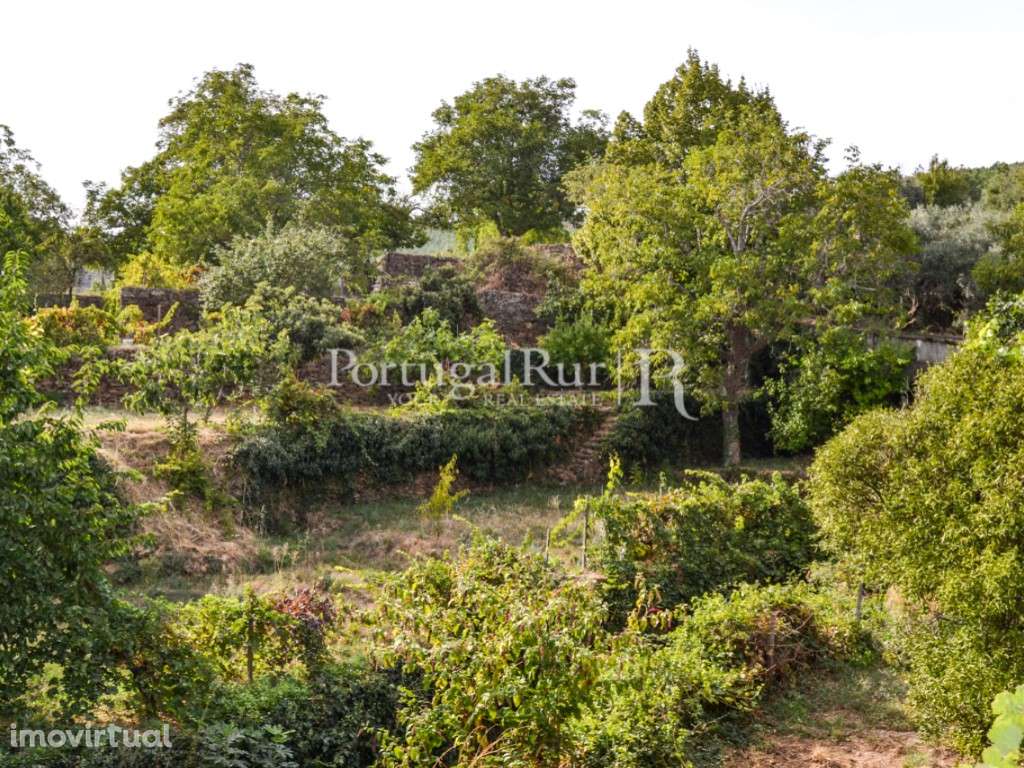 Quinta de 57ha com várias construções na zona da Covilhã - Grande imagem: 4/44