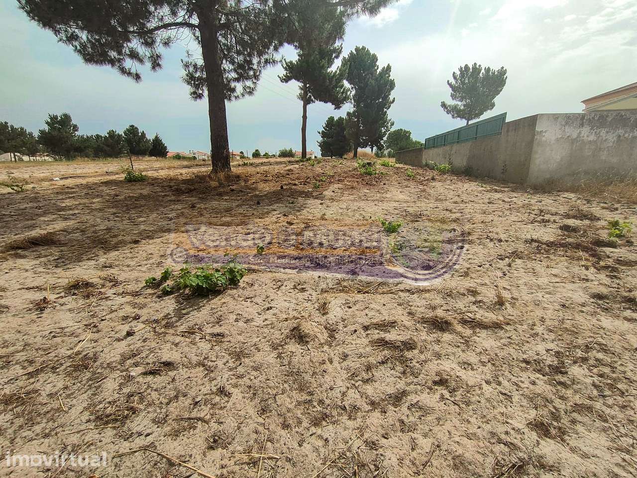 Terreno em Marinhais (M583) - Grande imagem: 5/7