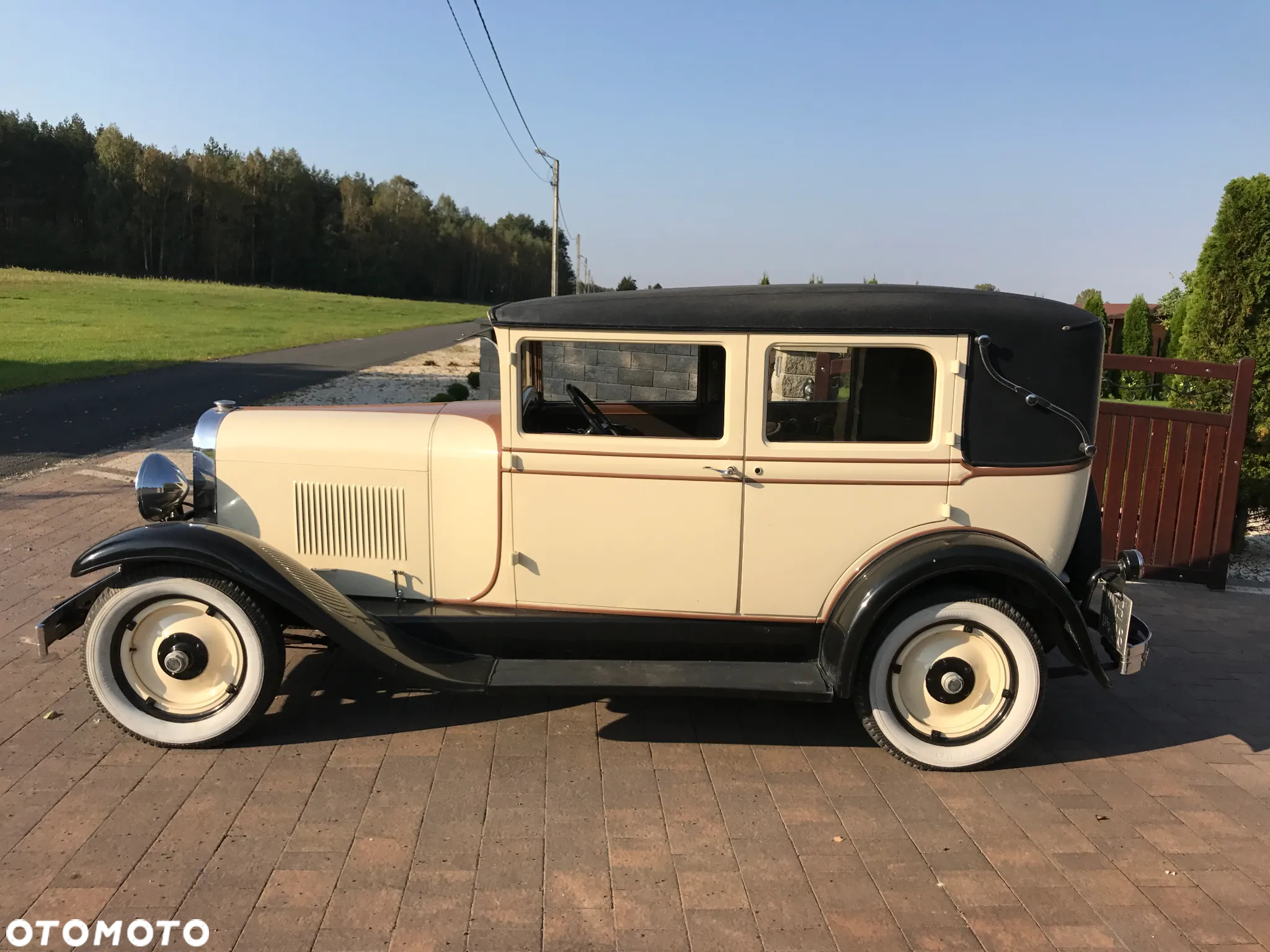Oldsmobile Inny - 17