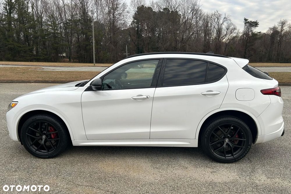 Alfa Romeo Stelvio 2.0 Turbo 16V AT8-Q4 Ti - 5