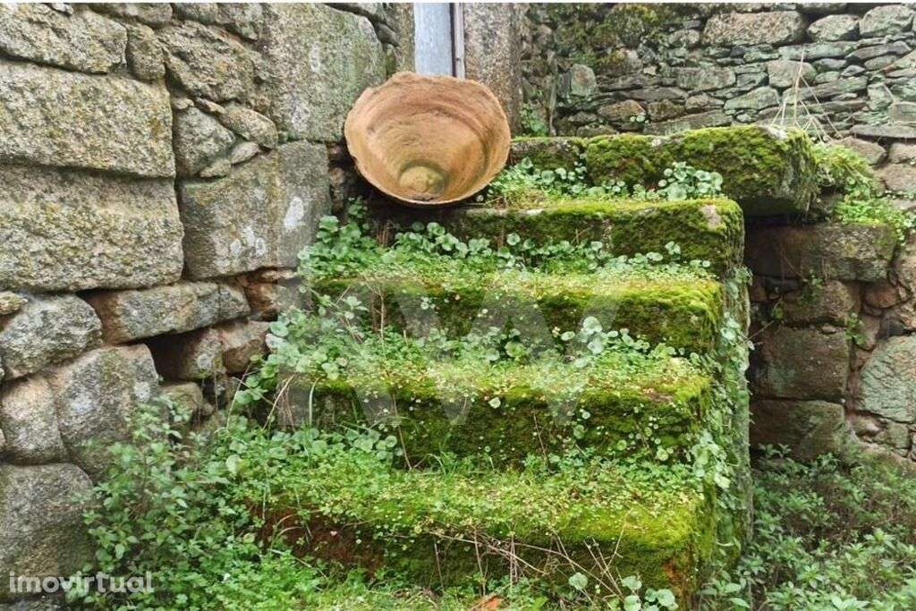 2 Casas Históricas para Recuperar no Coração da Aldeia de Aranhas T2 + - Grande imagem: 3/12