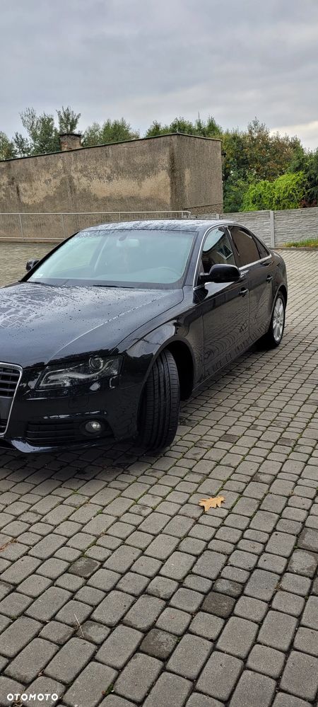 Audi A4 - 15