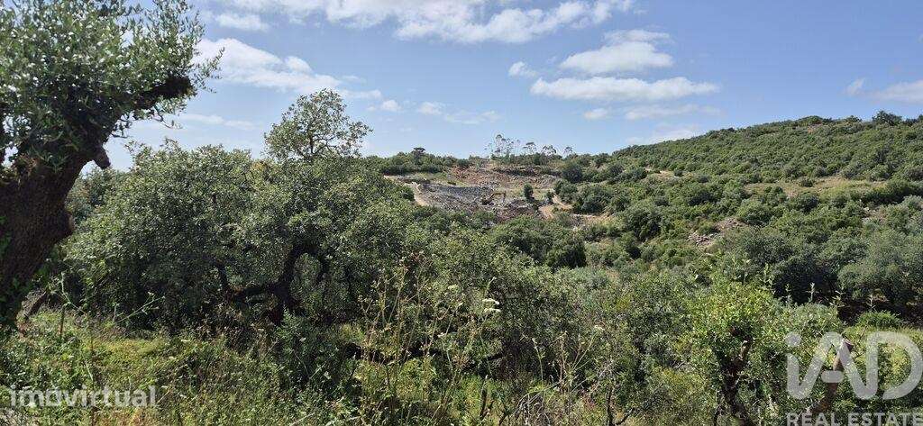 Terreno em Alqueidão da Serra - Grande imagem: 5/6
