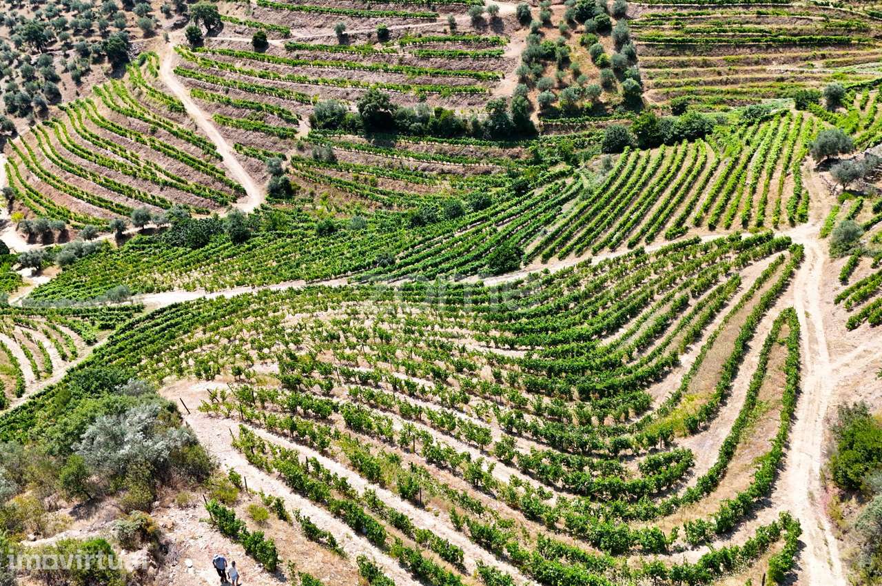 Terreno no Douro com 18.278 m² - Grande imagem: 2/20