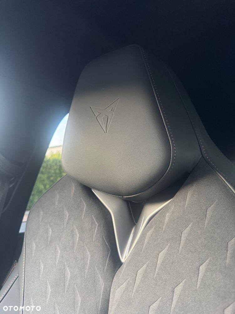 Cupra Terramar - 30