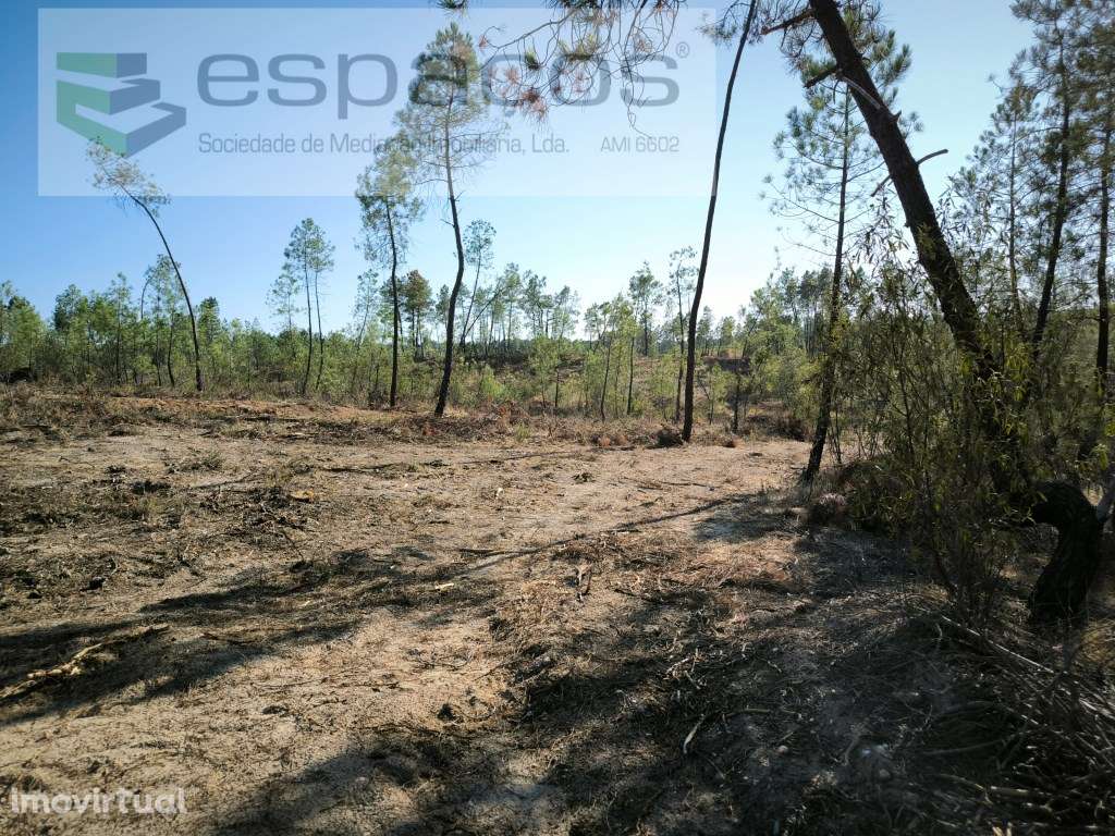 Terreno com bons acessos - S. Domingos - Grande imagem: 3/9