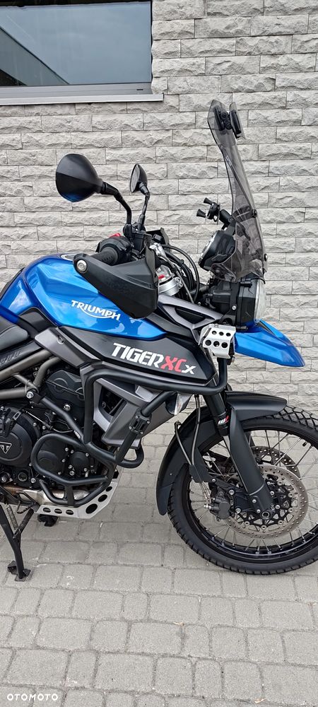 Triumph Tiger - 9