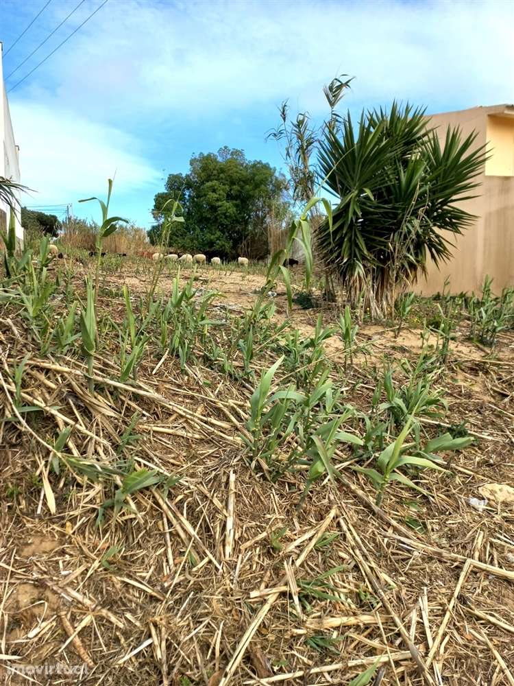 Terreno Urbano Sintra - Grande imagem: 4/16