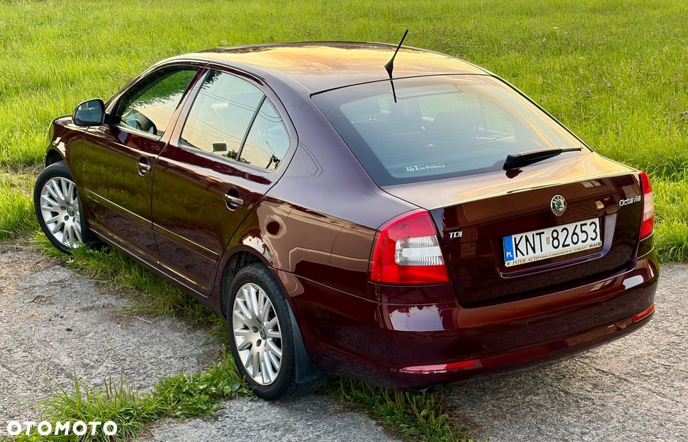 Skoda Octavia 1.6 TDI Ambition - 16