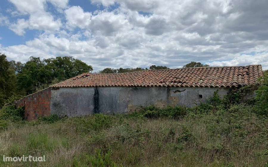 Quintinha no Alentejo - Grande imagem: 2/11