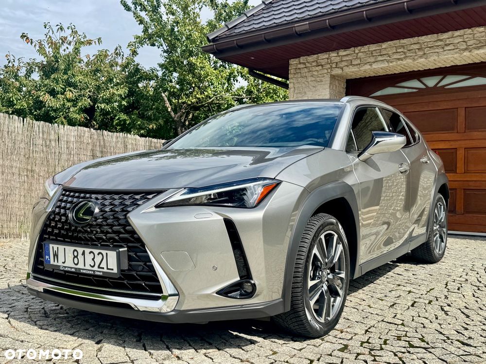 Lexus UX 250h F Sport 2WD - 12