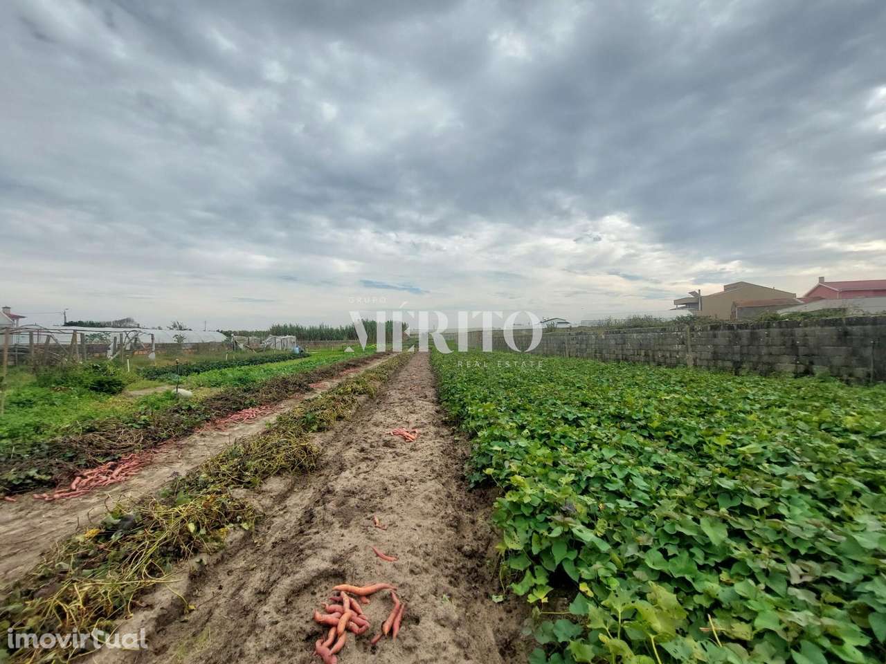 Moradia para Restauro na Aguçadoura, Póvoa de Varzim! - Grande imagem: 4/25