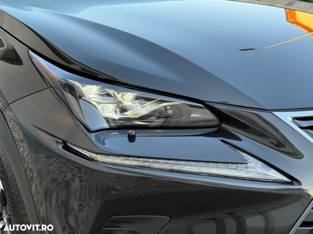 LEXUS NX 2019 — imagine 28