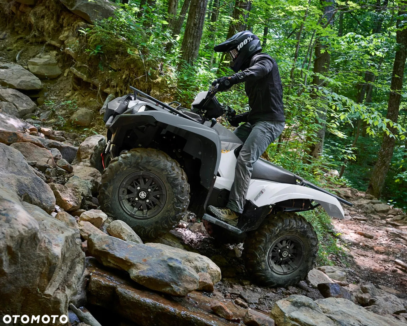Yamaha Grizzly - 5