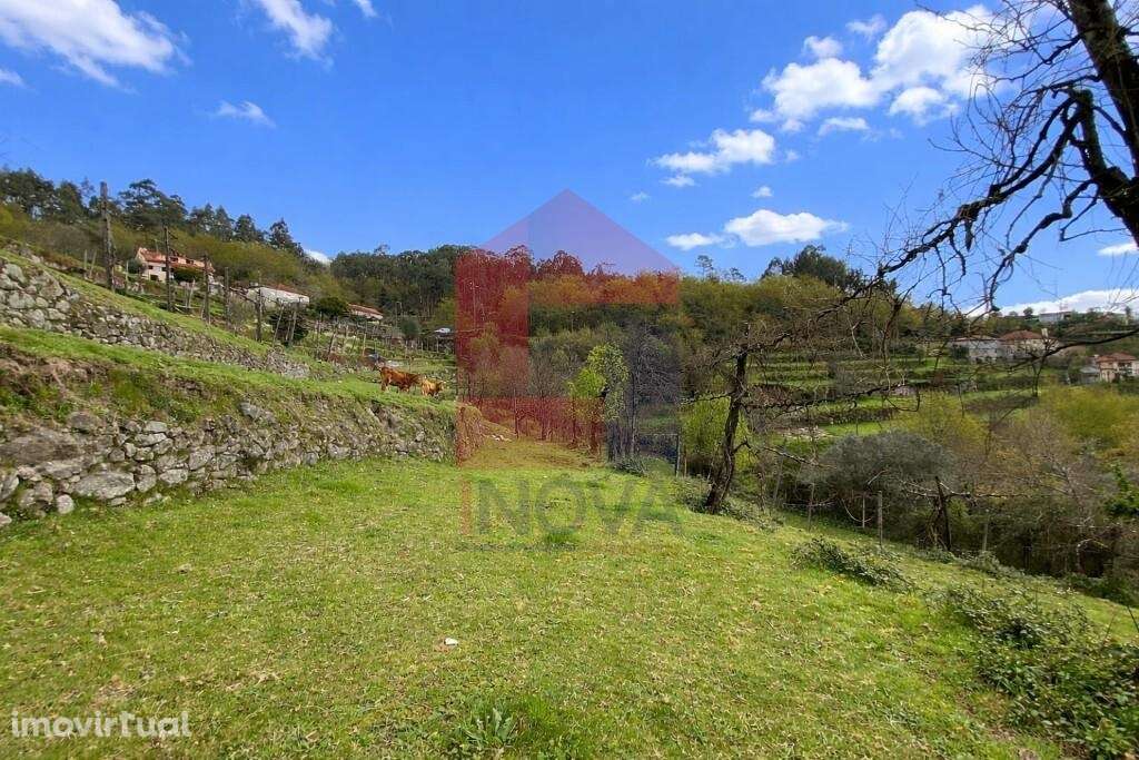 Terreno agrícola / florestal, Barros - Grande imagem: 2/43