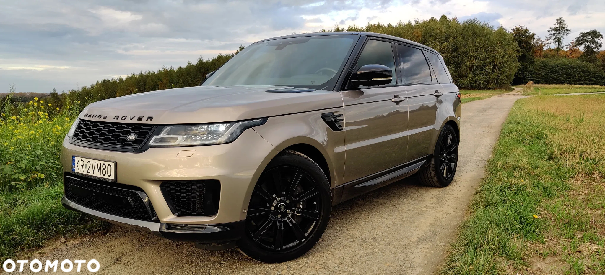 Land Rover Range Rover Sport S 3.0 I6 HSE - 11