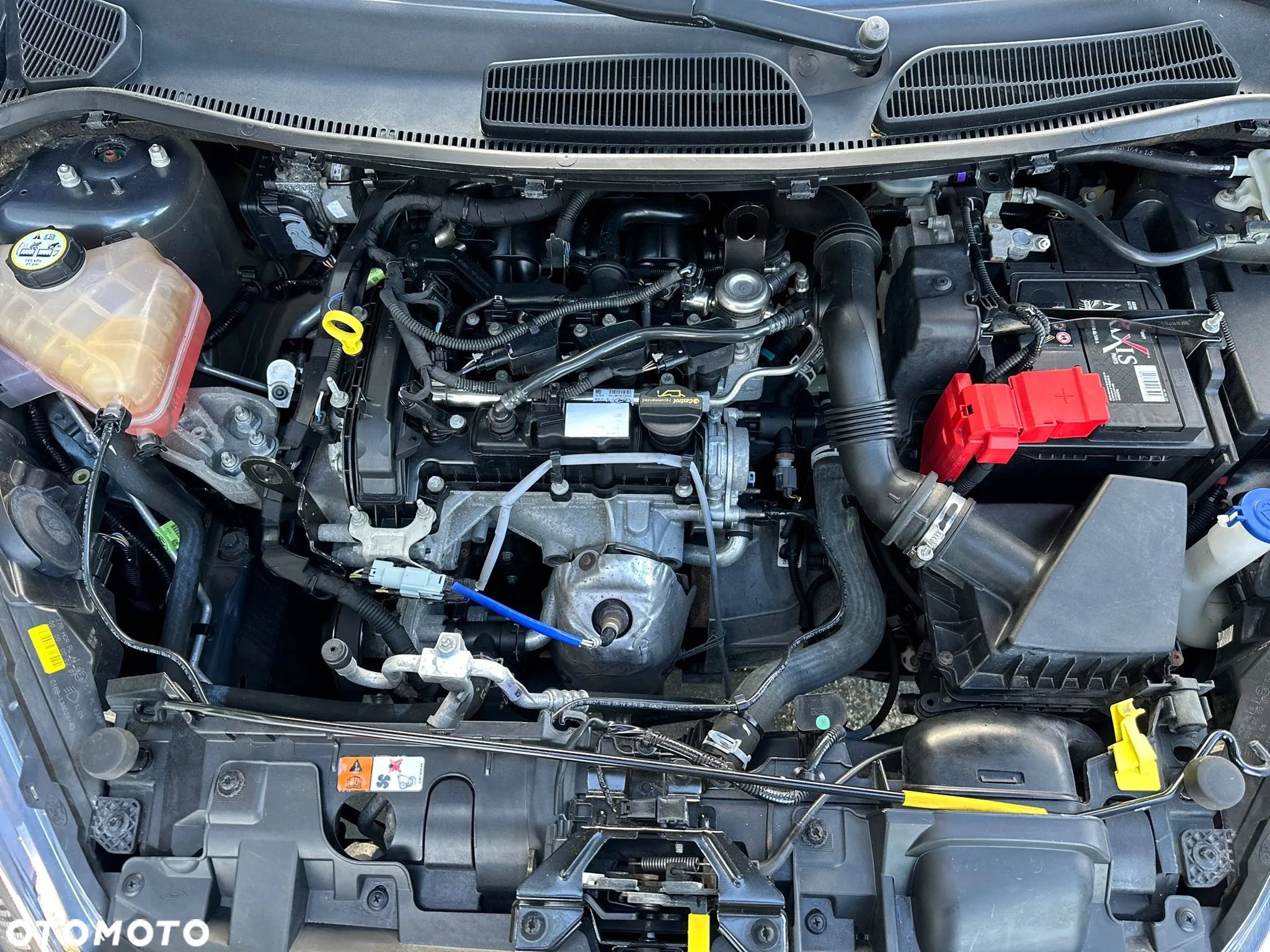 Ford Fiesta 1.0 Silver X Plus EU6 - 9