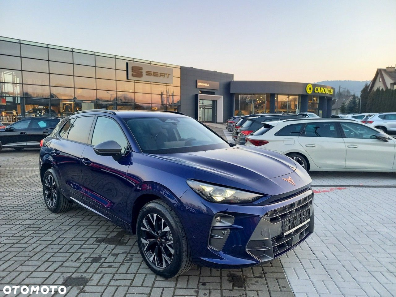 Cupra Terramar - 2