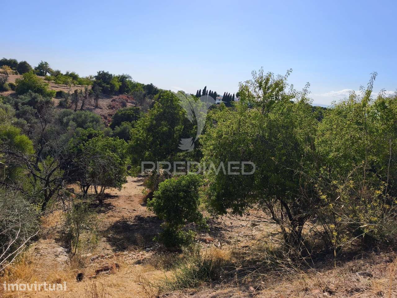 Albufeira-Paderne - AlmeijoafrasTerreno Rustico 8160m2 - Grande imagem: 2/14
