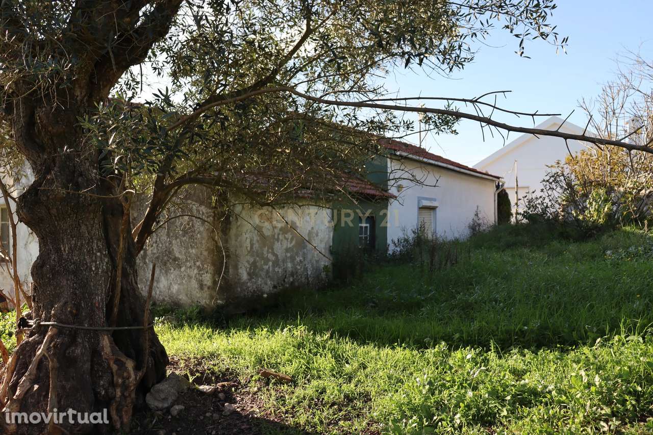 Terreno urbano com casa em ruína na Bemposta, Bucelas - Grande imagem: 2/23