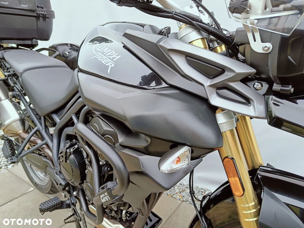 Triumph Tiger - 9