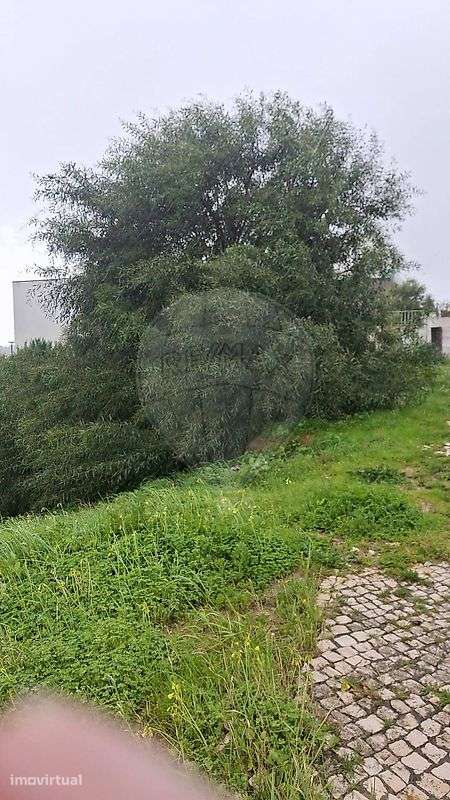 Terreno  para venda - Grande imagem: 2/3
