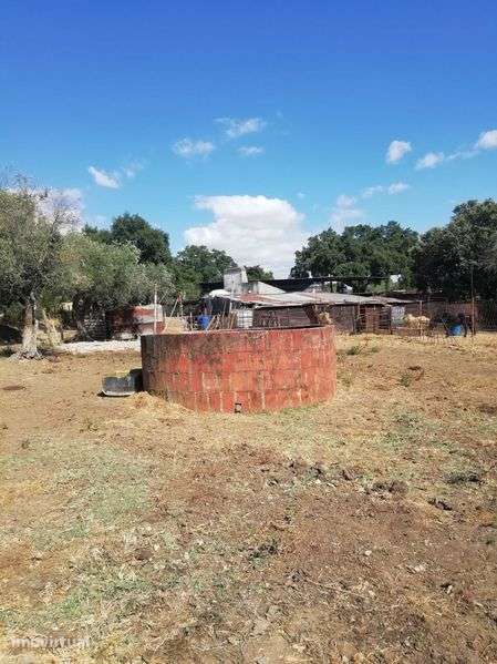 Vende-se Terreno rustico, ótima oportunidade de investimento - Grande imagem: 2/3
