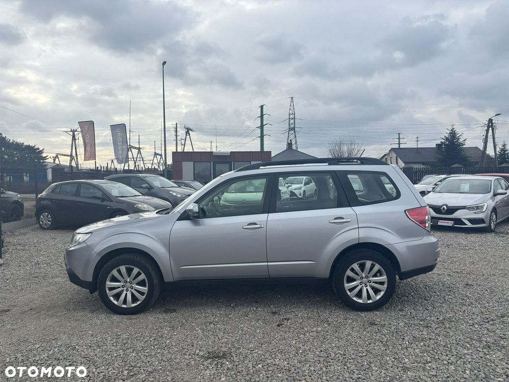 Subaru Forester - 7