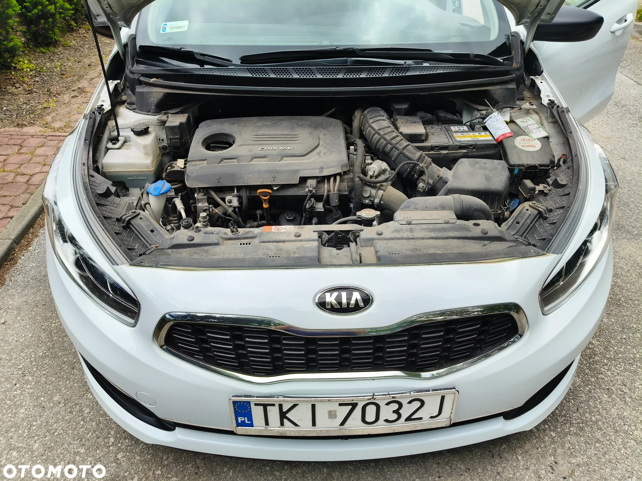 Kia Ceed Cee'd 1.4 CRDi M - 14