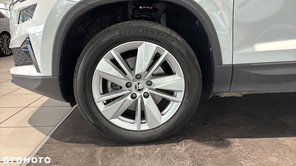 Skoda Karoq - 18