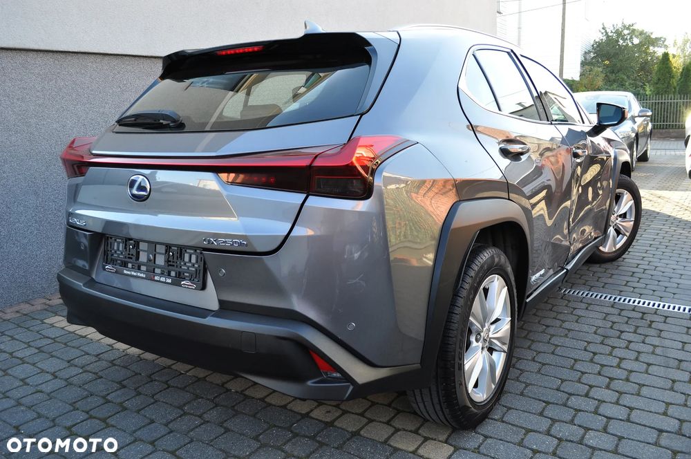 Lexus UX 250h Prestige 2WD - 7