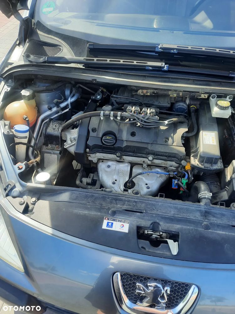 Peugeot 307 1.6 - 22