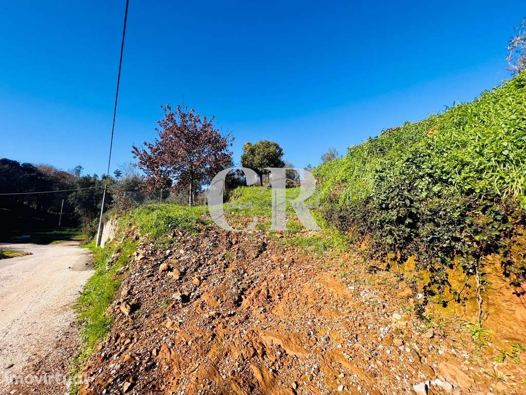 Ruína para reconstrução implantada em terreno com boa vista, a confron - Grande imagem: 2/24