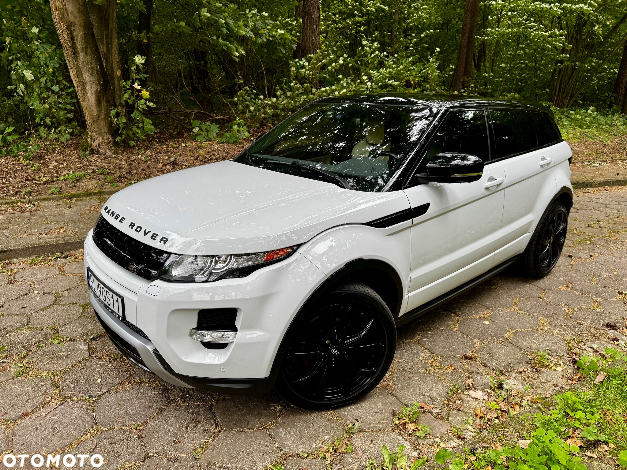 Land Rover Range Rover Evoque 2.0Si4 SE Dynamic - 3