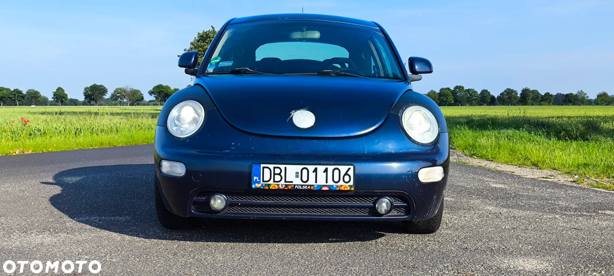 Volkswagen New Beetle - 3