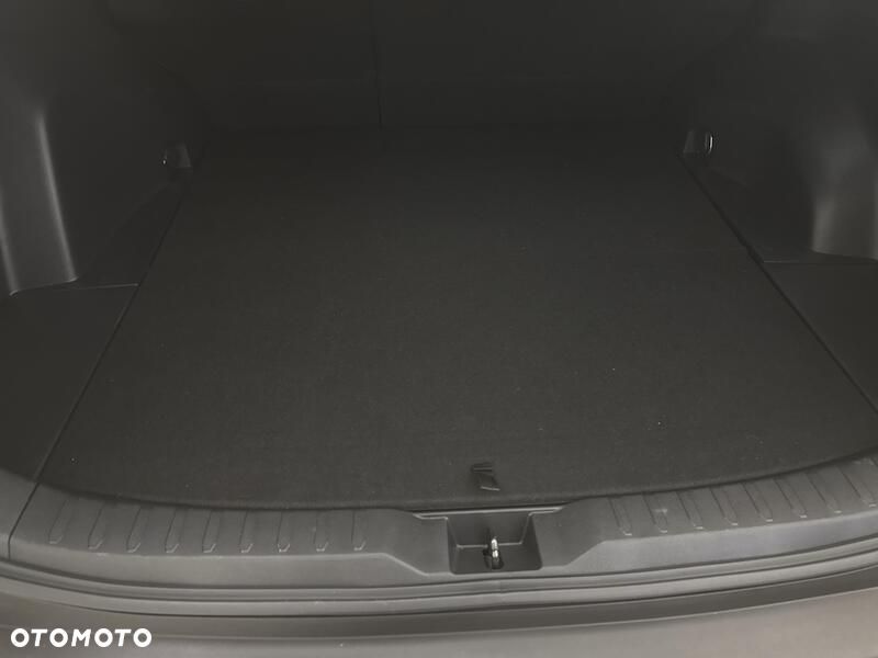 Toyota RAV4 2.5 Hybrid Active 4x2 - 22