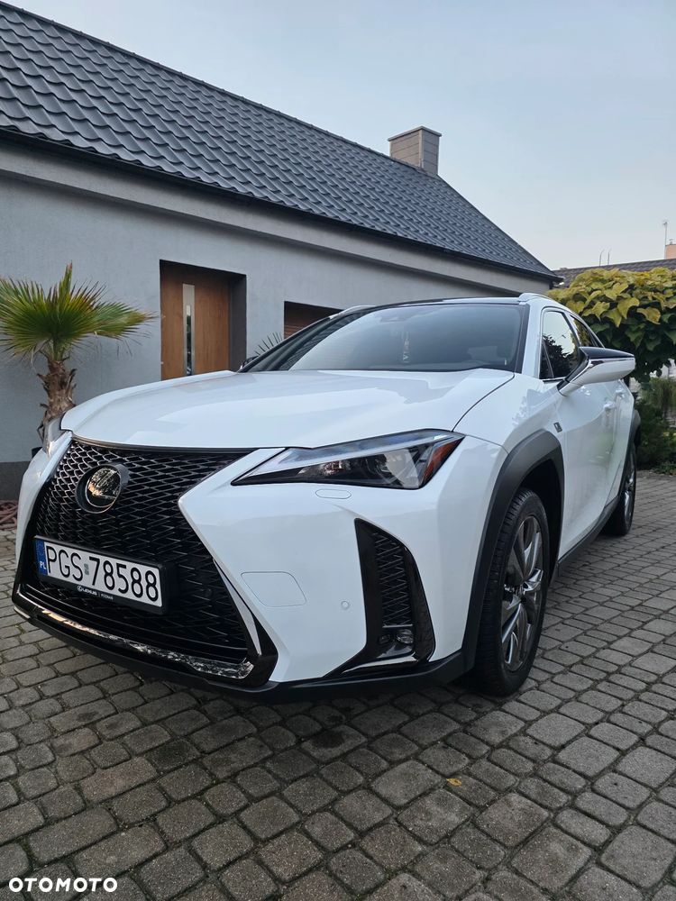 Lexus UX - 15