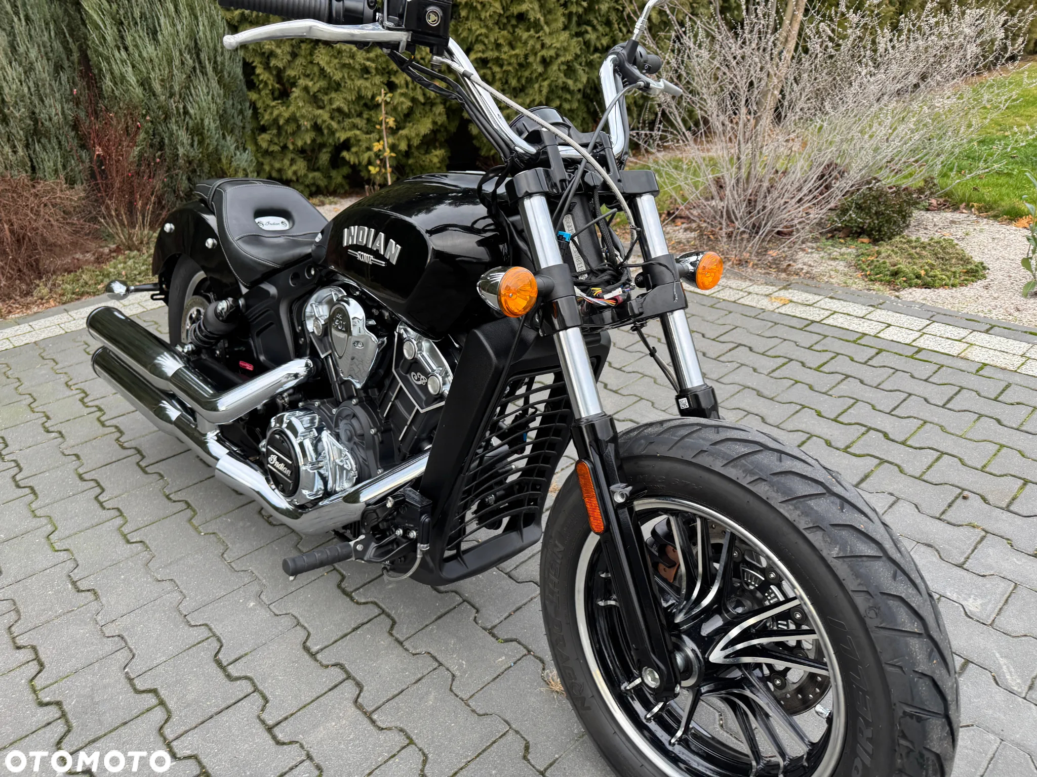 Indian Scout - 10