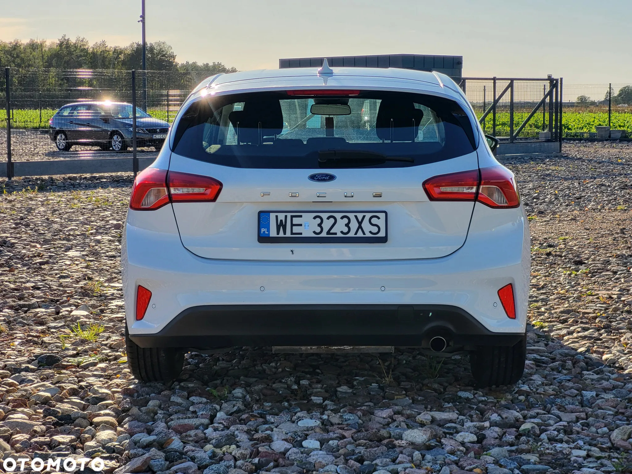 Ford Focus 1.5 EcoBlue Trend Edition - 7