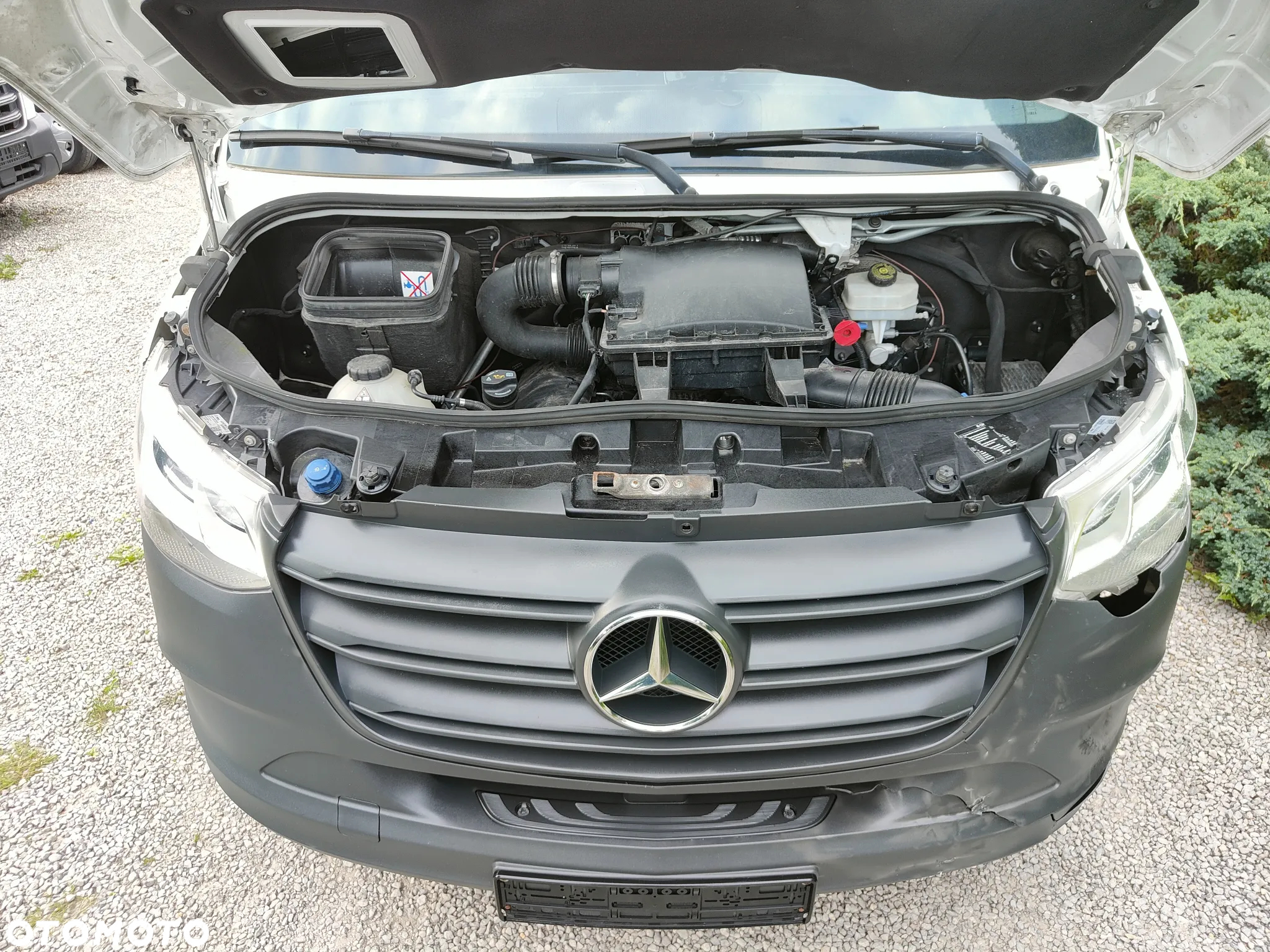 Mercedes-Benz Sprinter 519 2019r Chłodnia Mroźnia Termo King V-500 Max KONTENER - 34