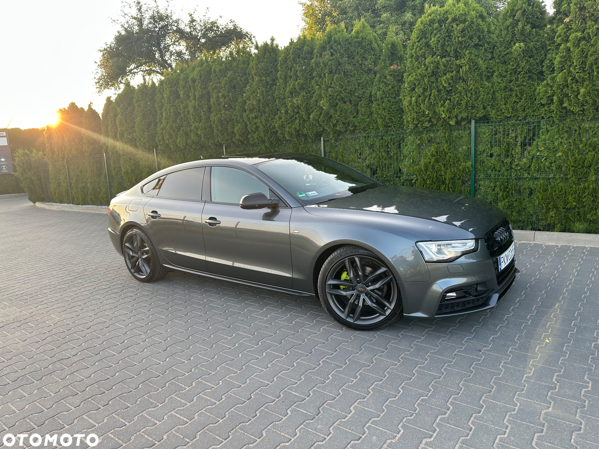 Audi A5 2.0 TDI Sportback (clean diesel) quat DPF S tro - 7