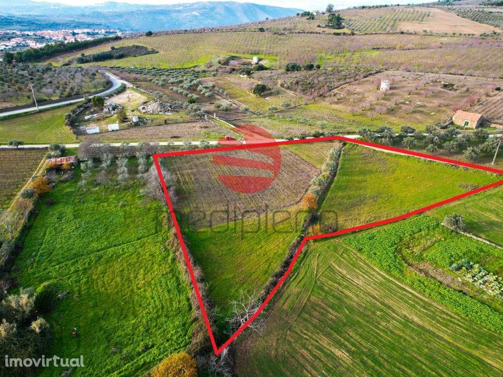 TERRENO RÚSTICO - Grande imagem: 2/6